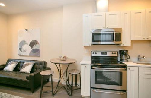 Downtown Boston Apartment | Newly Designed Loft - Fast Wifi - Pet Friendly
