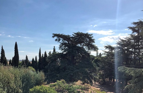 Saint-Jean-Pla-de-Corts Villa | Newly renovated Maison from 1920 with 2,8 hectar private park and pool
