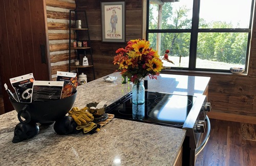 Clarksville House | Newly Listed Iron Mountain View Getaway