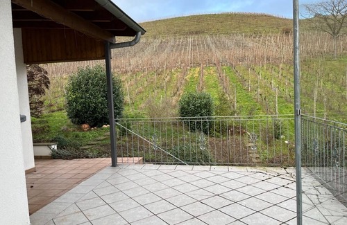 Winningen Condo | Newly renovated vacation apartment in the winery.