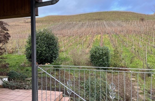 Winningen Condo | Newly renovated vacation apartment in the winery.