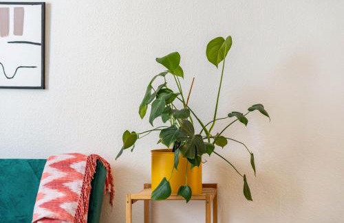 Rheinhausen Apartment | Next Home