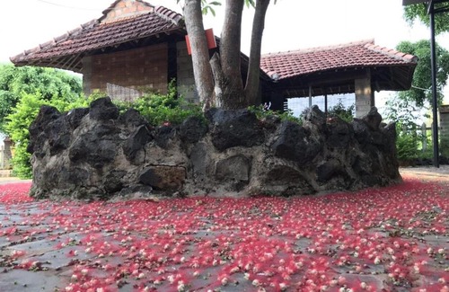 Pleiku House | NGÓI QUÊ Homestay