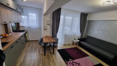Ploiesti Apartment | NGR Residence