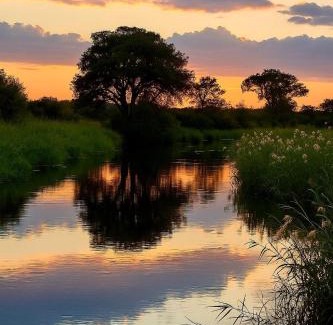 Zambezi Region Other | Ngulu Island Sanctuary