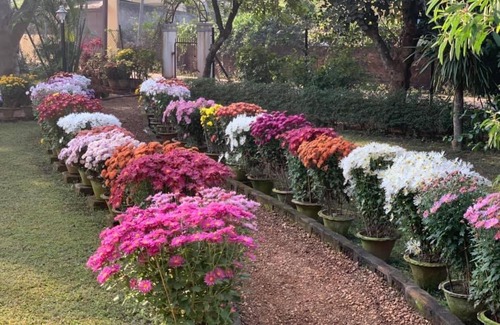 Bolpur House | Nibhriti Guest House