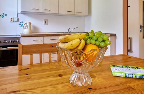 Svoboda nad Upou Apartment | Nice apartment for 4 guests with WIFI, TV, patio and pets allowed