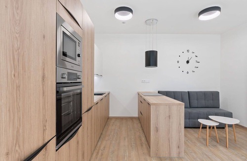 Janov nad Nisou Apartment | Nice apartment for 3 guests with WIFI, TV and terrace