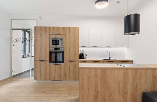 Janov nad Nisou Apartment | Nice apartment for 3 guests with WIFI, TV and terrace