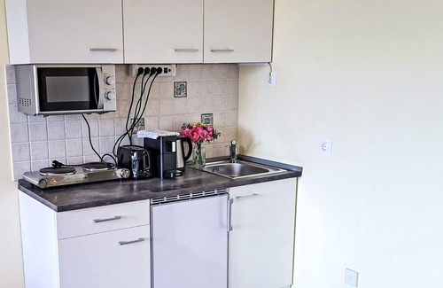 Strobl Apartment | Nice apartment for 3 guests with WIFI, TV and balcony