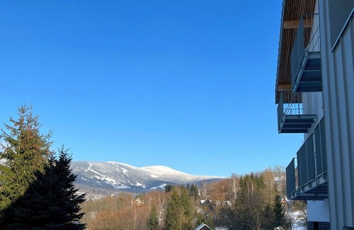 Rokytnice nad Jizerou Apartment | Nice apartment for 3 people with WIFI, pool, TV and terrace