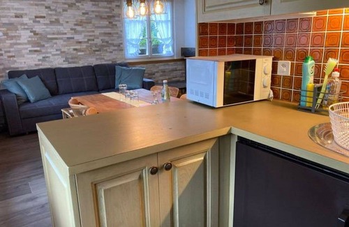 Ruedisbach Apartment | Nice apartment for 4 guests with WIFI, TV, balcony and pets allowed