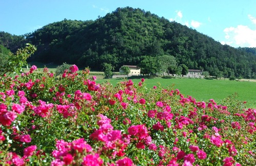 Marradi Apartment | Nice apartment for 4 people with WIFI, pool, TV, pets allowed, panoramic view and parking