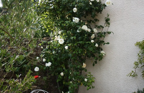 Paimboeuf House | NICE CHARACTER HOUSE on the banks of the Loire AND ITS FLOWERED GARDEN, 10 MN FROM THE SEA