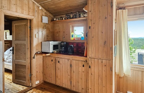 Nissedal House | Nice home in Drangedal