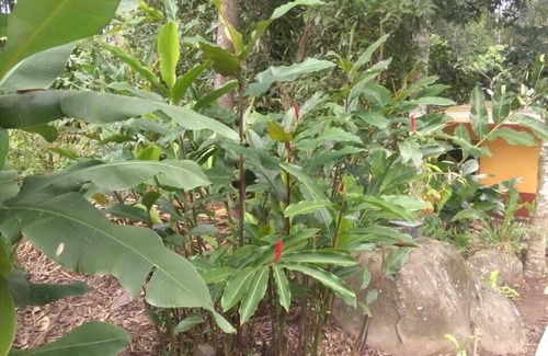 Catemaco House | Nice House Natural