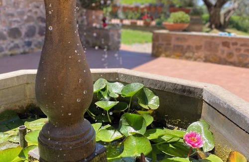 Bolsena Apartment | Nice independent apartments in typical style with private beach on the lake
