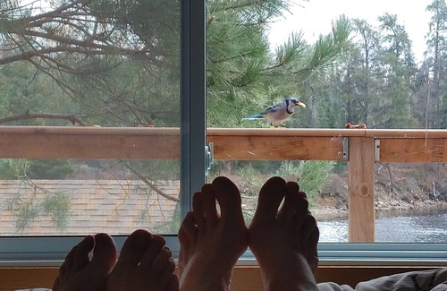 Sudbury District House | Nice Private 2 Bedroom w Lakeside Sauna Gazebo