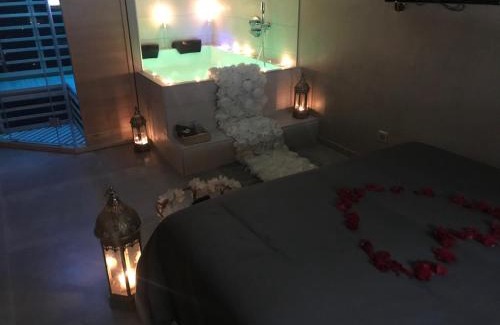 Bischheim Apartment | Nid à bulles - Loft 35m2 sauna jacuzzi 10min centre Strasbourg