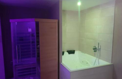 Bischheim Apartment | Nid à bulles - Loft 35m2 sauna jacuzzi 10min centre Strasbourg