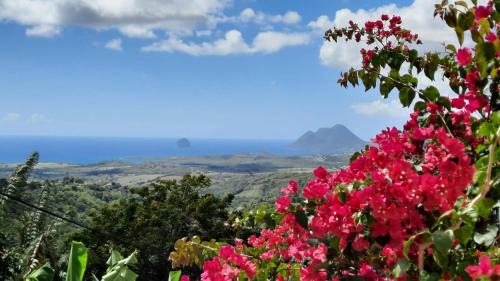Riviere-Salee Apartment | Nid d'Aigle Tropical
