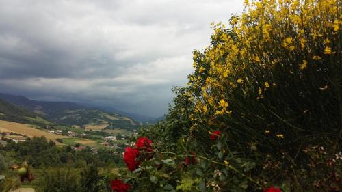 Sogliano al Rubicone Bed & Breakfast | Nido D'Ape bed and breakfast