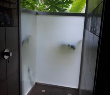 San Miguel de los Bancos Apartment | Nido de Vida