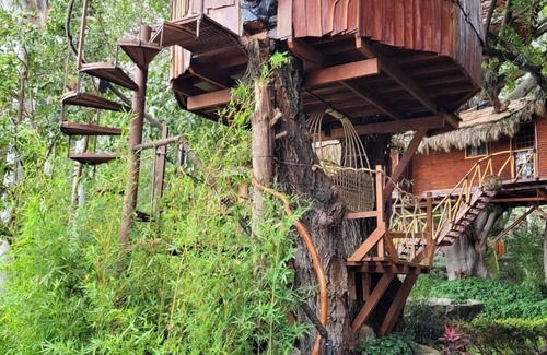 Tuxcueca House | Nido Ecoluxury Treehouse - Casa de Arbol
