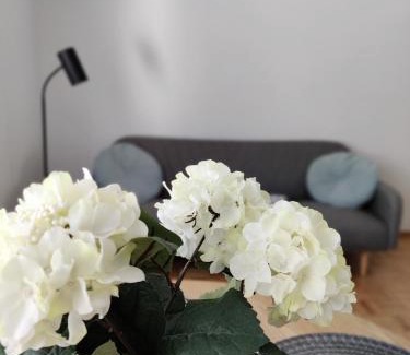 Ylamylly Apartment | Niinivaara apartment saunallinen ja ilmastoitu majoitus