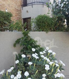 Agia Fyla House | Nikola's House