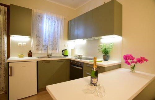 Vlachopoulatika Apartment | Nikoletta 5