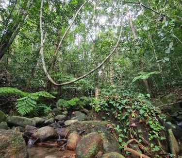 Kotapola Resort | Nilgira Nature Trails