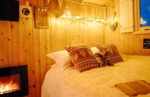Christchurch Apartment | Nirvana Glamping
