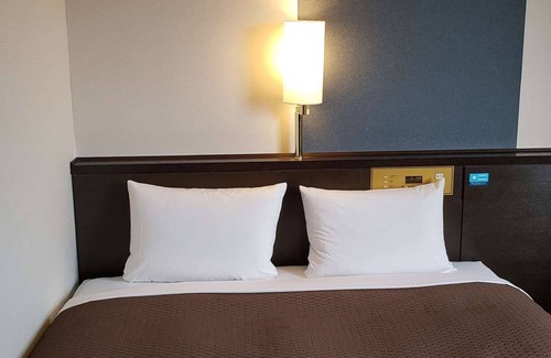 Ryuga Onsen Hotel | Nishitetsu Inn Kochi Harimayabashi