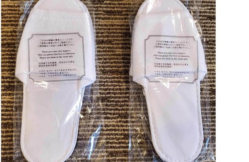 Ryuga Onsen Hotel | Nishitetsu Inn Kochi Harimayabashi