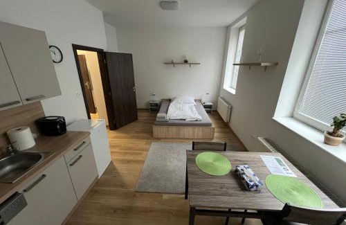 Hradec Kralove Apartment | No. 34