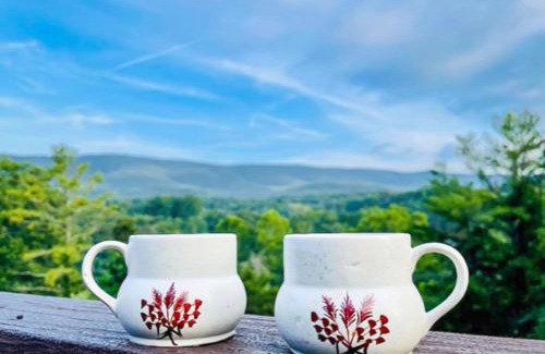 Orkney Springs Apartment | No Dog Fees - Dog Friendly 3BR 2BA with Loft and Mountain Views - Near Bryce Resort in Basye, VA