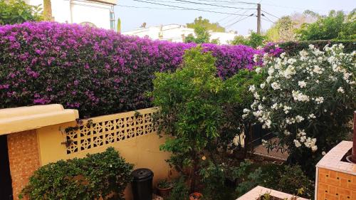 Oulad Khallouf Bed & Breakfast | No21 Loulan Villa21号别墅民宿