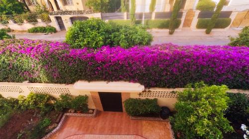 Oulad Khallouf Bed & Breakfast | No21 Loulan Villa21号别墅民宿