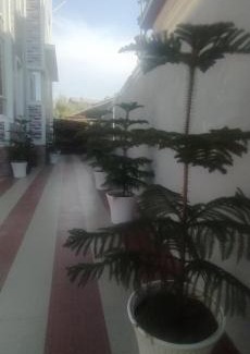 Srinagar House | Nobel Nest Nook
