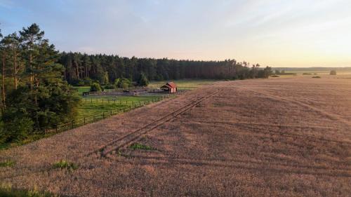gmina Ryczywo House | Nocleg na skraju puszczy