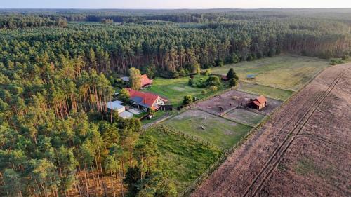 gmina Ryczywo House | Nocleg na skraju puszczy