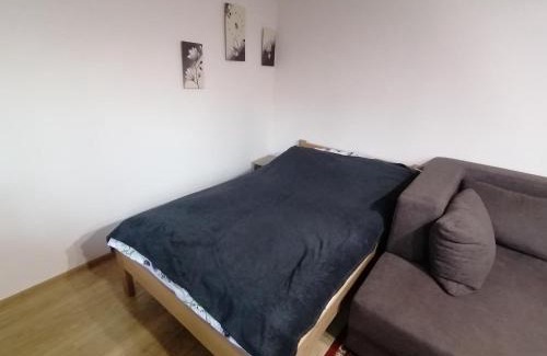 Pieniezno Apartment | Nocleg przy Ratuszu