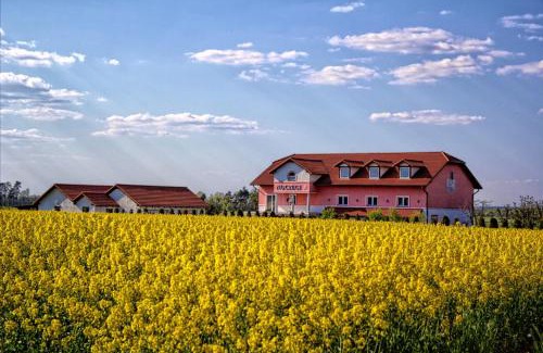 Boleslawiec Bed & Breakfast | Noclegi Biała Róża