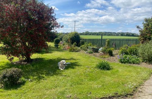 Duncannon House | Nolans organic farm