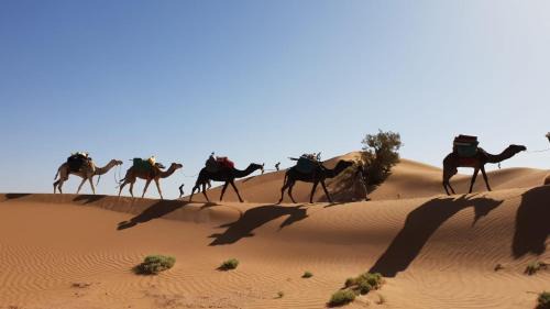 M'Hamid El Ghizlane Apartment | Nomadic Desert Lounge