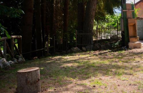 Spezzano della Sila Bed & Breakfast | Nonna Iolanda