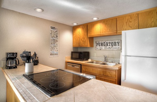 Purgatory Condo | North Star (#301) | Deck, Mtn Views, Ski Shuttle, Heated Pool/Hot Tub