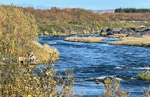 Rangarþing ytra House | Northen Lights Cabin, Riverside, Mountain view