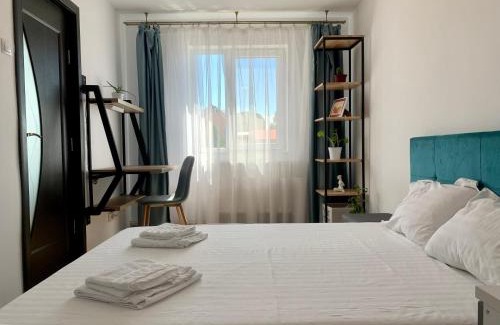 Bistrita Apartment | Nosen Asime Apartment